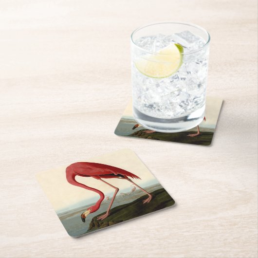 Audubon American Flamingo Kartonnen Onderzetters (Insitu)