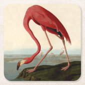 Audubon American Flamingo Kartonnen Onderzetters (Voorkant)