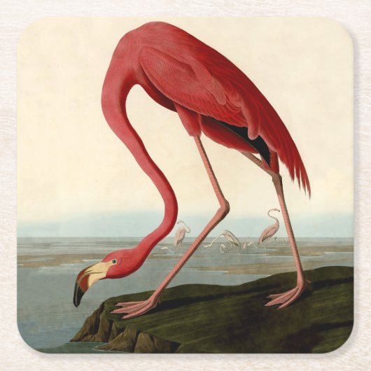 Audubon American Flamingo Kartonnen Onderzetters (Voorkant)