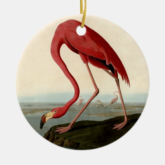 Audubon American Flamingo Keramisch Ornament (Voorkant)