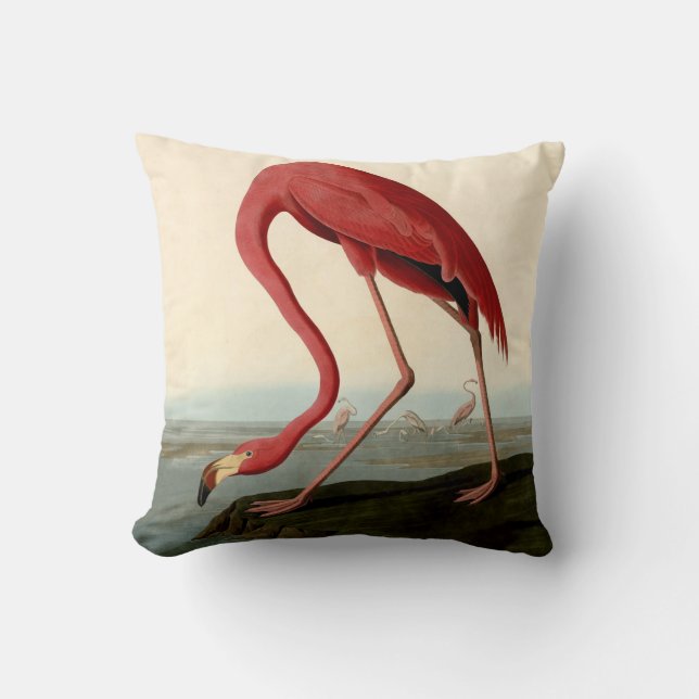 Audubon American Flamingo Kussen (Voorkant)