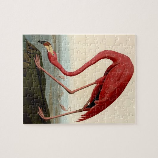 Audubon American Flamingo Legpuzzel (Horizontaal)