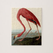 Audubon American Flamingo Legpuzzel (Verticaal)