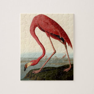 Audubon American Flamingo Legpuzzel