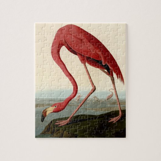 Audubon American Flamingo Legpuzzel (Verticaal)