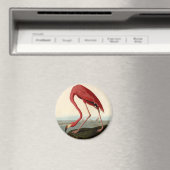 Audubon American Flamingo Magneet (Insitu (Vaatwasser))