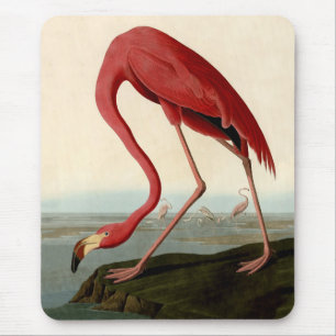 Audubon American Flamingo Muismat