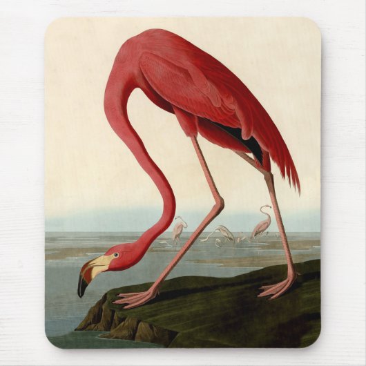 Audubon American Flamingo Muismat (Voorkant)