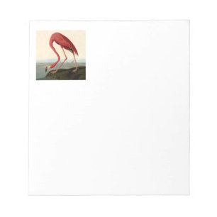 Audubon American Flamingo Notitieblok