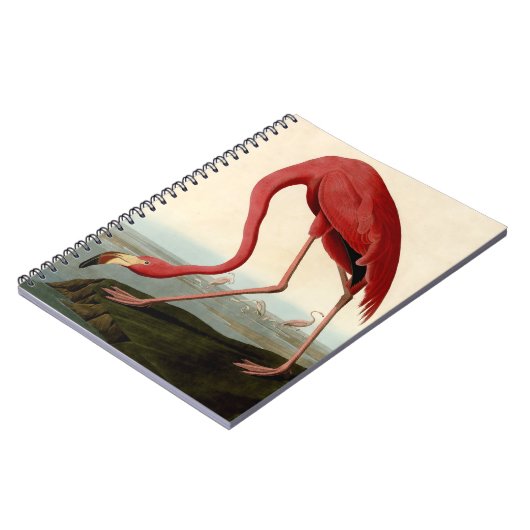 Audubon American Flamingo Notitieboek (Linkerzijde)