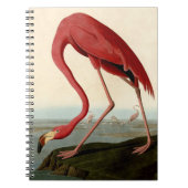Audubon American Flamingo Notitieboek (Voorkant)