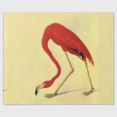 Audubon American Flamingo Painting Cadeaupapier (Vlak)
