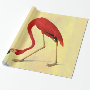 Audubon American Flamingo Painting Cadeaupapier