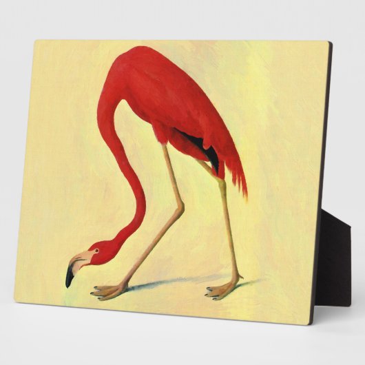Audubon American Flamingo Painting Fotoplaat (Zijkant)