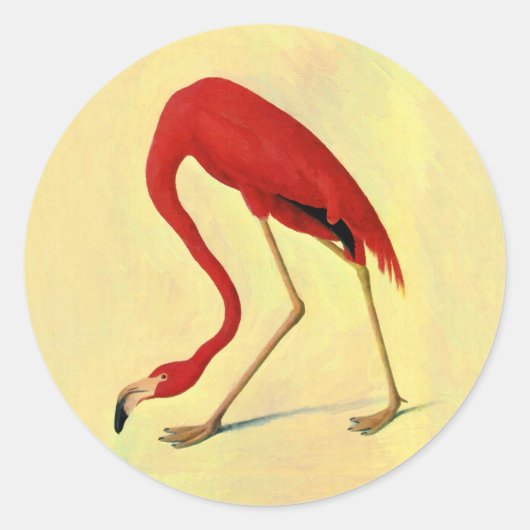 Audubon American Flamingo Painting Ronde Sticker (Voorkant)