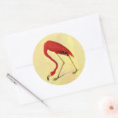 Audubon American Flamingo Painting Ronde Sticker (Envelop)