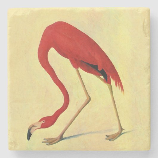 Audubon American Flamingo Painting Stenen Onderzetter (Voorkant)
