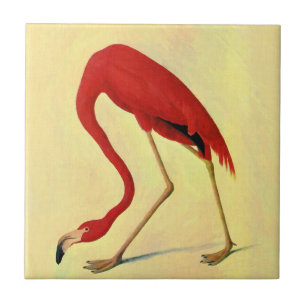 Audubon American Flamingo Painting Tegeltje
