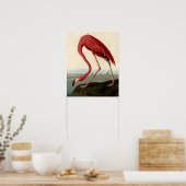 Audubon American Flamingo Poster (Keuken)