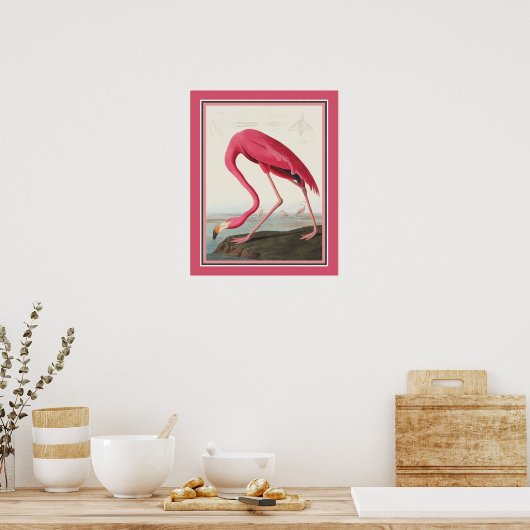 Audubon American Flamingo Poster (Keuken)