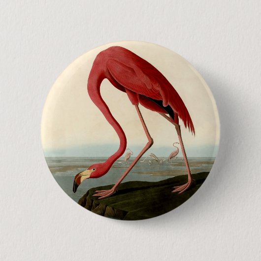 Audubon American Flamingo Ronde Button 5,7 Cm (Voorkant)