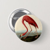 Audubon American Flamingo Ronde Button 5,7 Cm (Voorkant /achterkant)