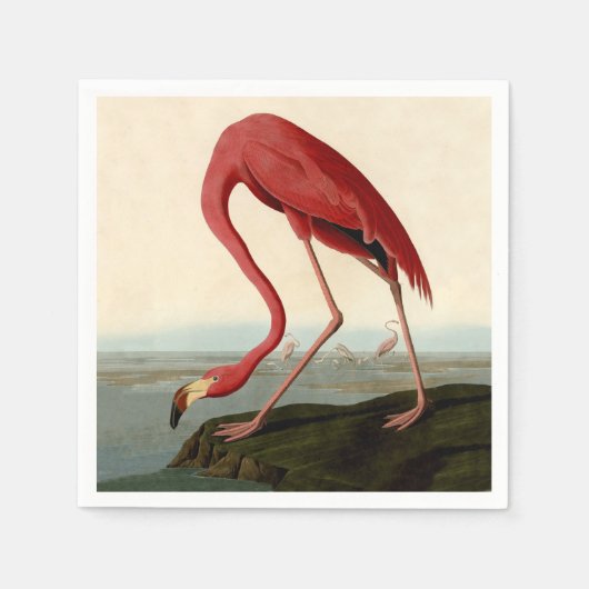 Audubon American Flamingo Servet (Voorkant)