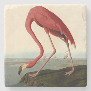 Audubon American Flamingo Stenen Onderzetter