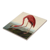 Audubon American Flamingo Tegeltje (Zijkant)
