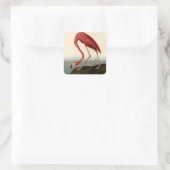 Audubon American Flamingo Vierkante Sticker (Tas)