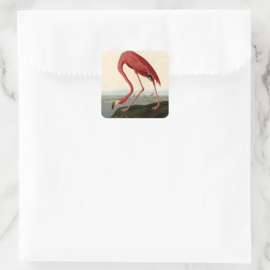 Audubon American Flamingo Vierkante Sticker (Tas)