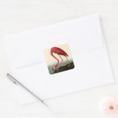 Audubon American Flamingo Vierkante Sticker (Envelop)