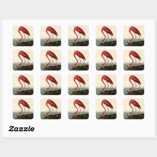 Audubon American Flamingo Vierkante Sticker (Vel)