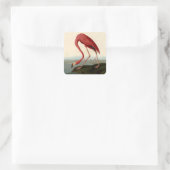 Audubon American Flamingo Vierkante Sticker (Tas)
