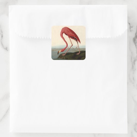 Audubon American Flamingo Vierkante Sticker (Tas)