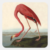 Audubon American Flamingo Vierkante Sticker (Voorkant)