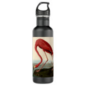 Audubon American Flamingo Waterfles (Voorkant)