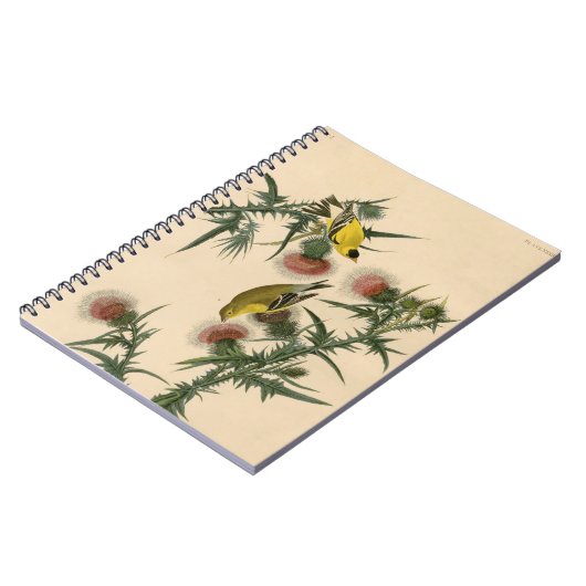Audubon American Goldfinch Bird Painting Notitieboek (Linkerzijde)