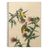 Audubon American Goldfinch Bird Painting Notitieboek (Voorkant)