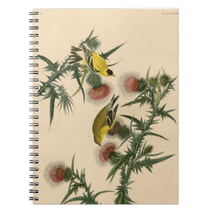 Audubon American Goldfinch Bird Painting Notitieboek