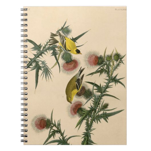  Audubon American Goldfinch Bird Painting Notitieboek (Voorkant)