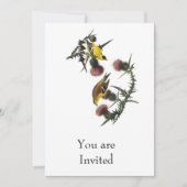 Audubon American Goldfinch Kaart (Voorkant)