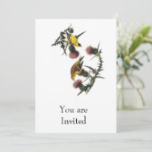 Audubon American Goldfinch Kaart (Staand voorkant)