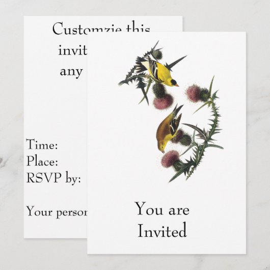 Audubon American Goldfinch Kaart (Voorkant / Achterkant)