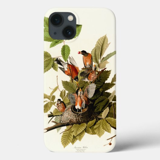 Audubon American Robin Wildlife Bird Case-Mate iPhone Case (Achterkant)