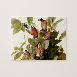 Audubon American Robin Wildlife Bird Legpuzzel