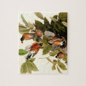 Audubon American Robin Wildlife Bird Legpuzzel (Verticaal)