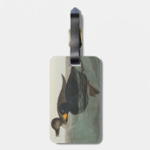 Audubon American Scoter Duck Classic Bagagelabel (Achterkant verticaal)