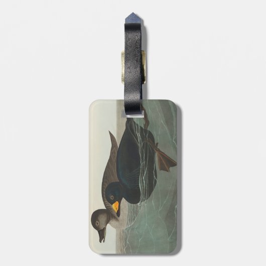 Audubon American Scoter Duck Classic Bagagelabel (Achterkant verticaal)