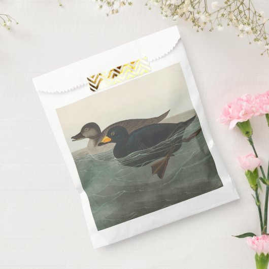 Audubon American Scoter Duck Classic Bedankzakje (Gezegeld)
